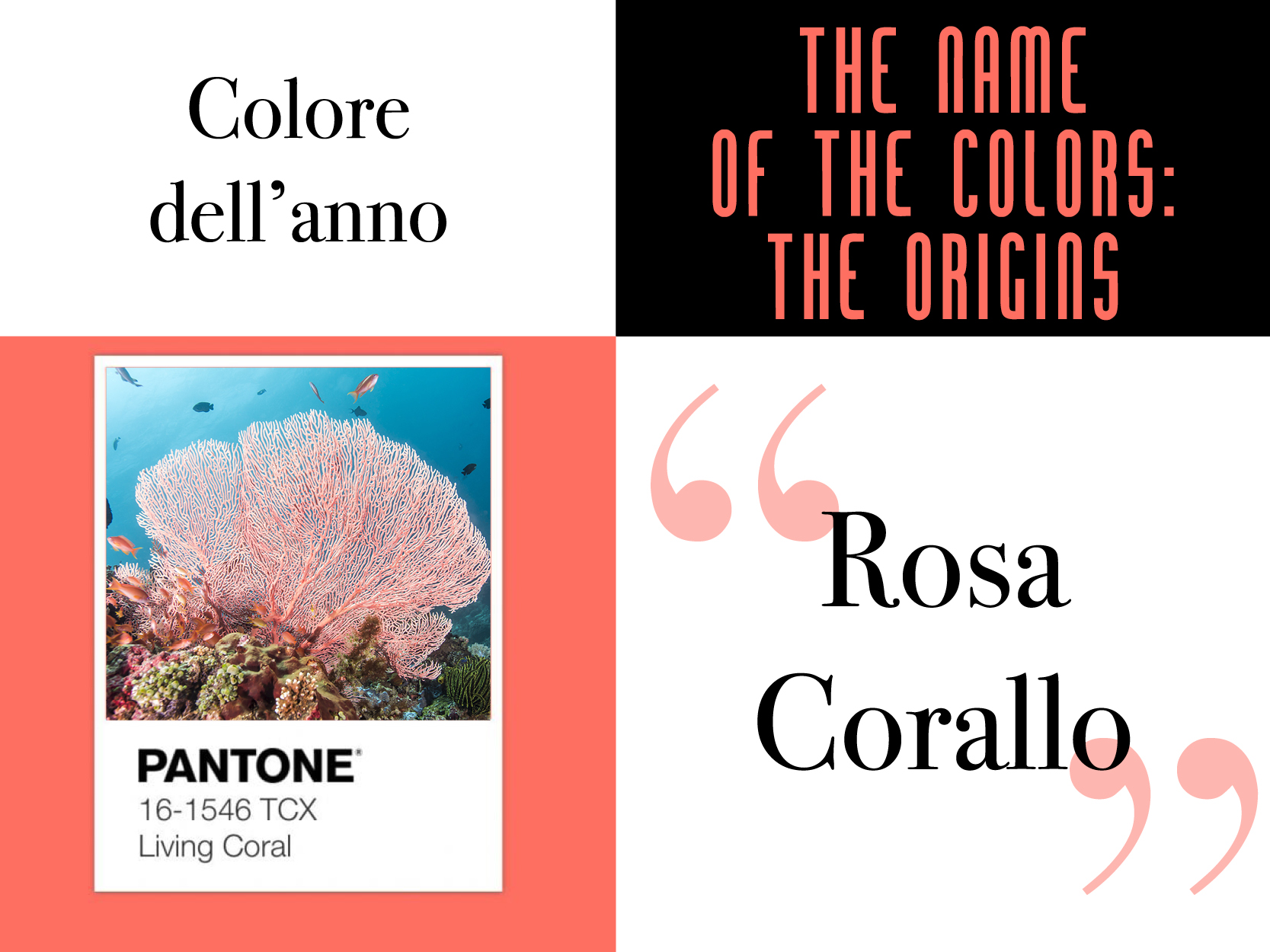 #ColoriDelMondo:<br /> le origini del Rosa Corallo
